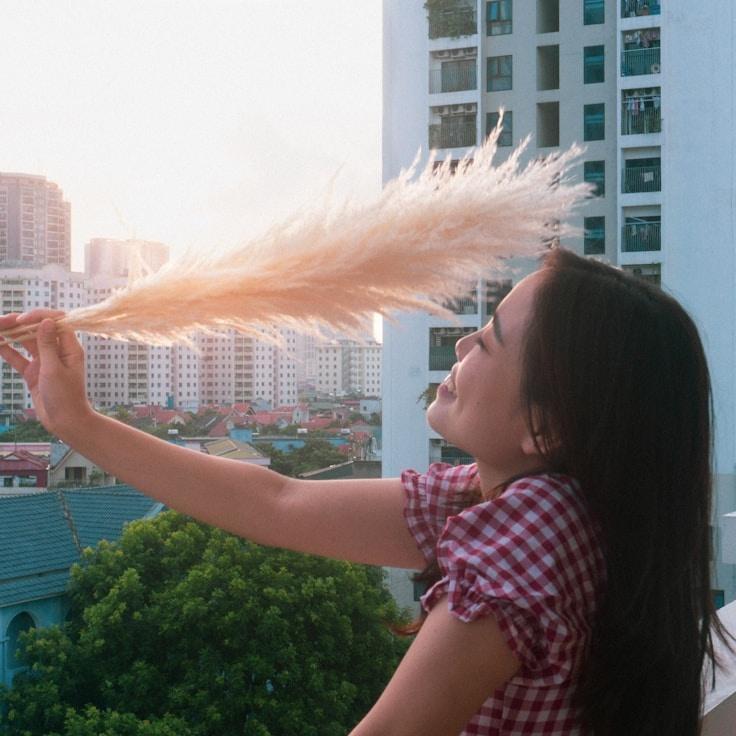 Business professional backdrop